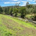 an area of green grass with small posts next to a creek with trees on the opposite bank